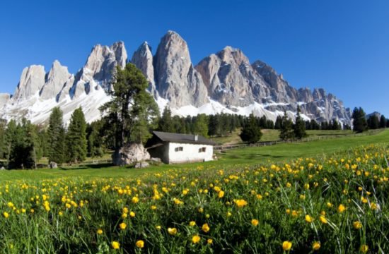 Bergfrühling mit -15%