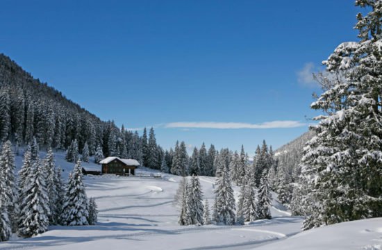 Winterurlaub in den Dolomiten 7